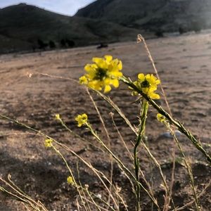 Meet your Posher, Ruth